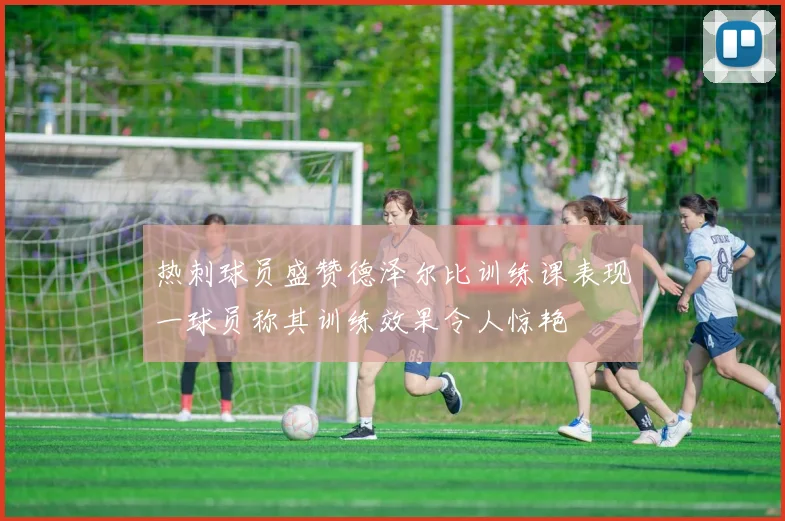 热刺球员盛赞德泽尔比训练课表现一球员称其训练效果令人惊艳